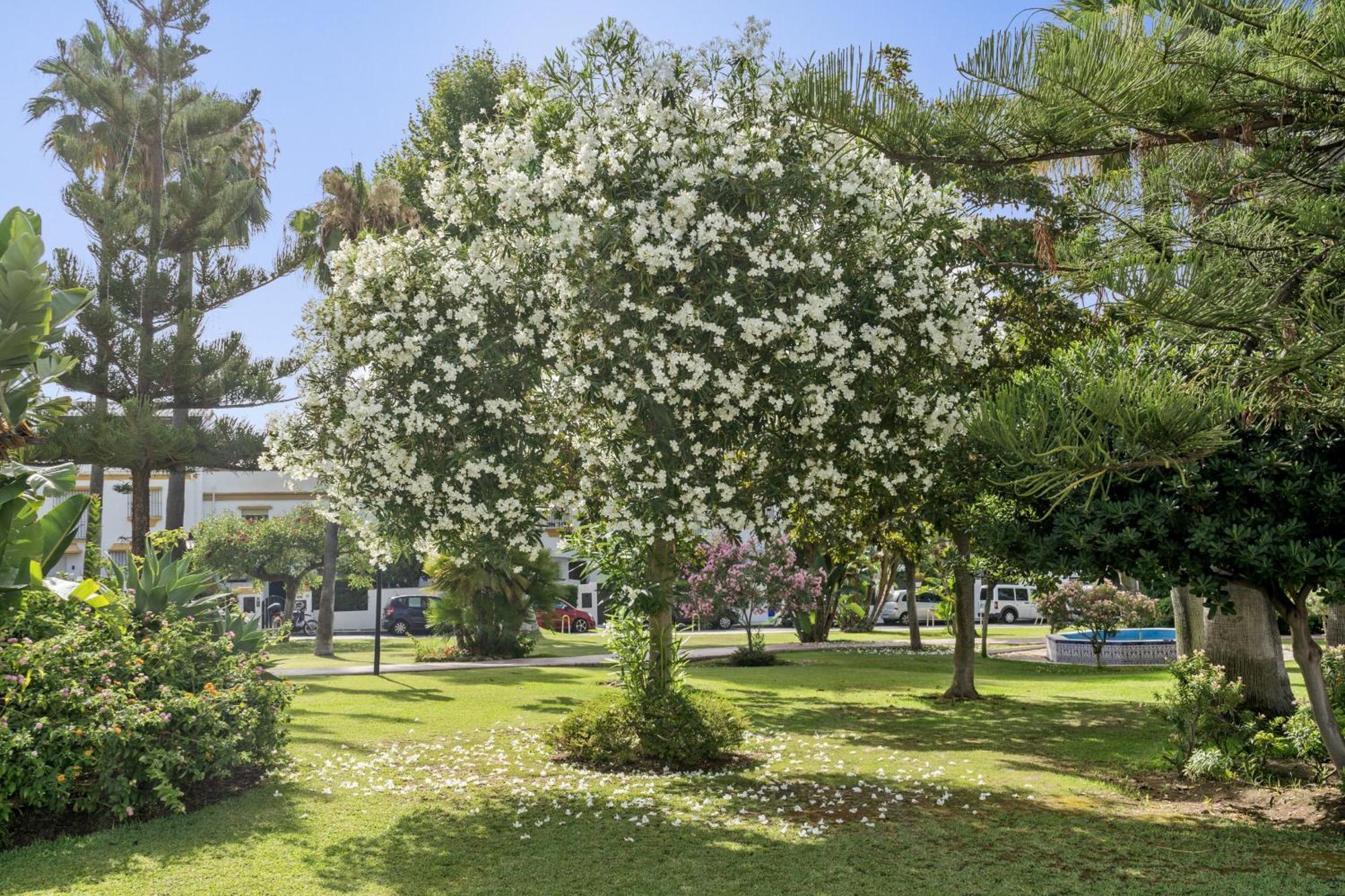 Villa Casa Adriana Marbella Exterior foto